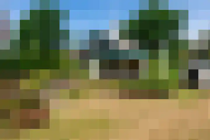 Zandvoort 2 A Norg thumbnail 12