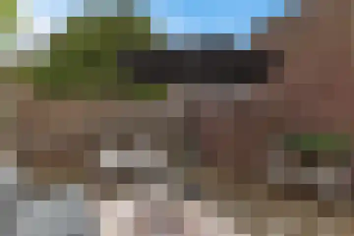 Zandvoort 2 A Norg thumbnail 19