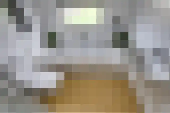 Zandvoort 2 A Norg thumbnail 21