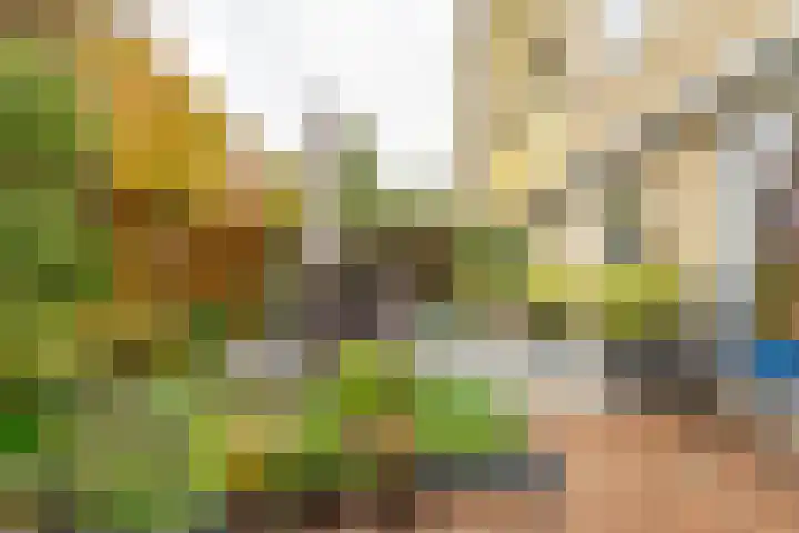 Zandvoort 2 A Norg thumbnail 31