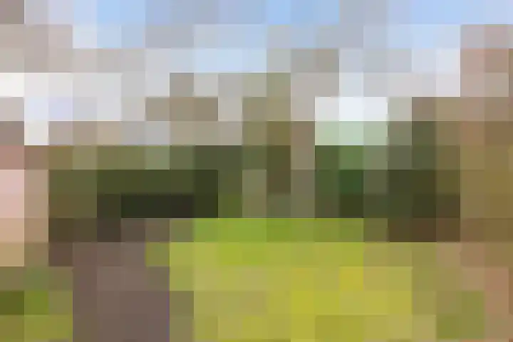 Zandvoort 2 A Norg thumbnail 48