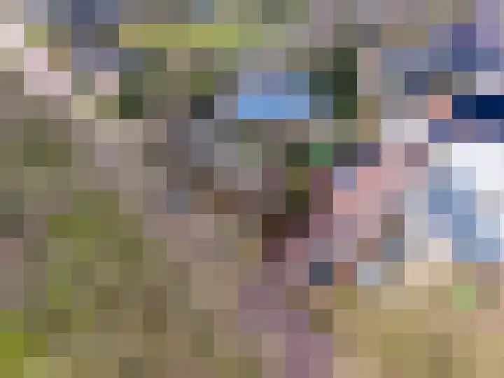 Zandvoort 2 A Norg thumbnail 53