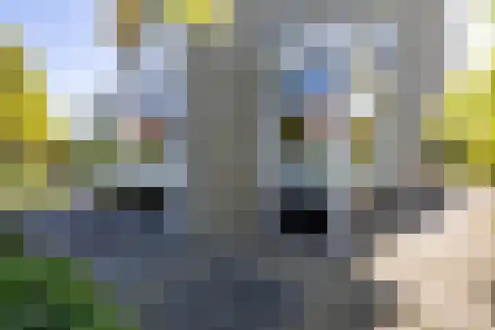 Zandvoort 2 A Norg thumbnail 56