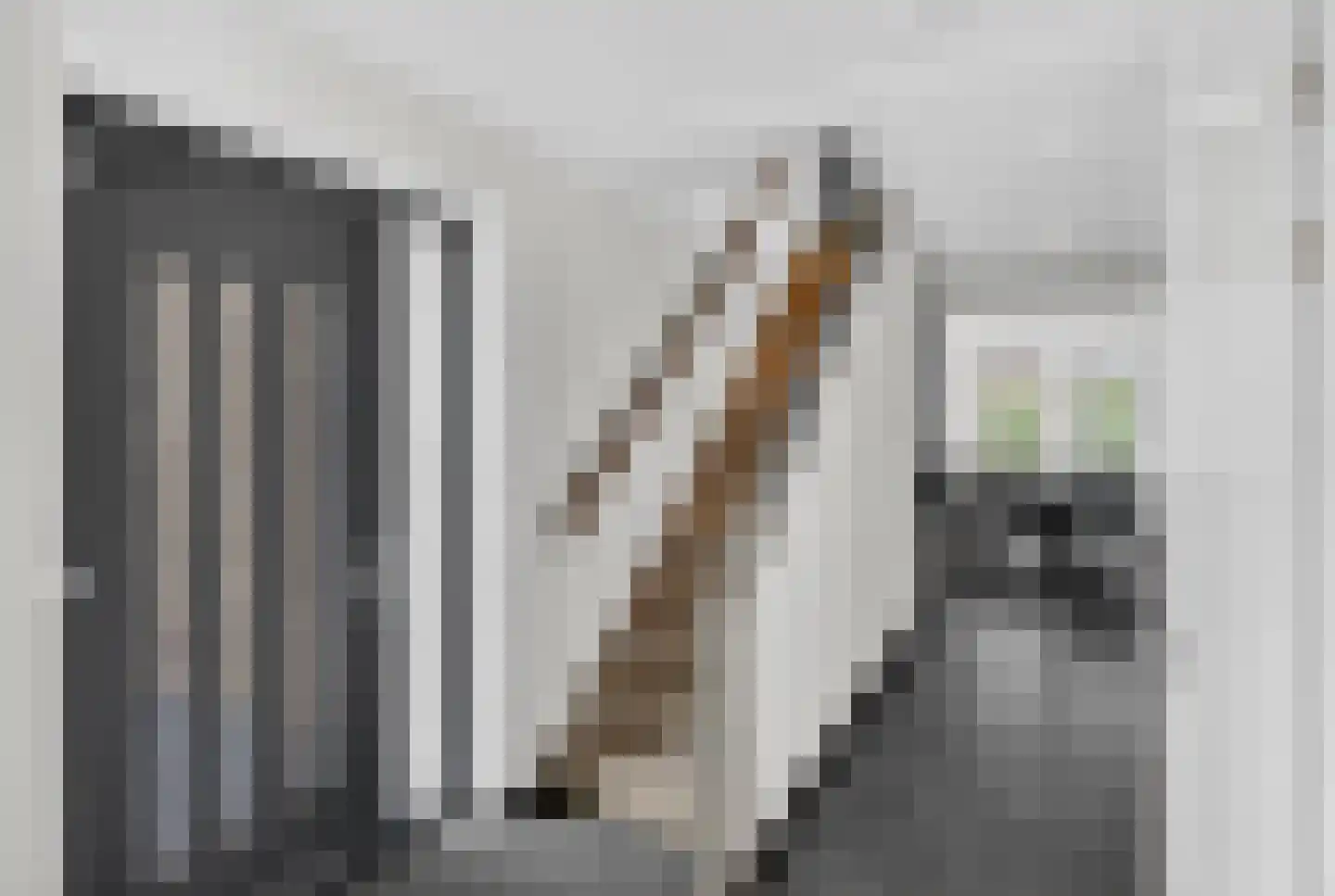 Zandweg 10 Achthuizen thumbnail 25