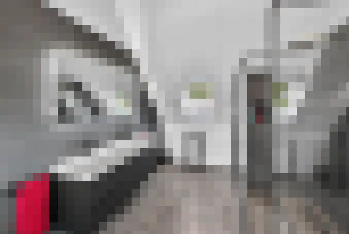 Zandweg 10 Achthuizen thumbnail 39