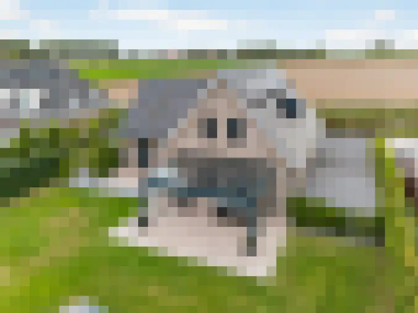 Zandweg 10 Achthuizen thumbnail 50