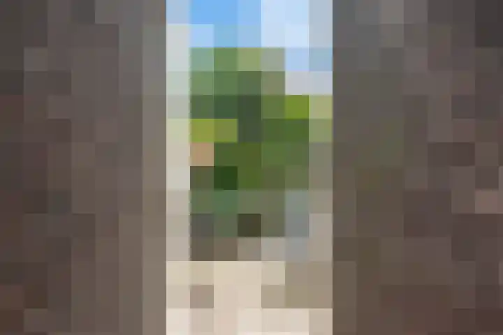 Zandweg 103 Wormer thumbnail 25