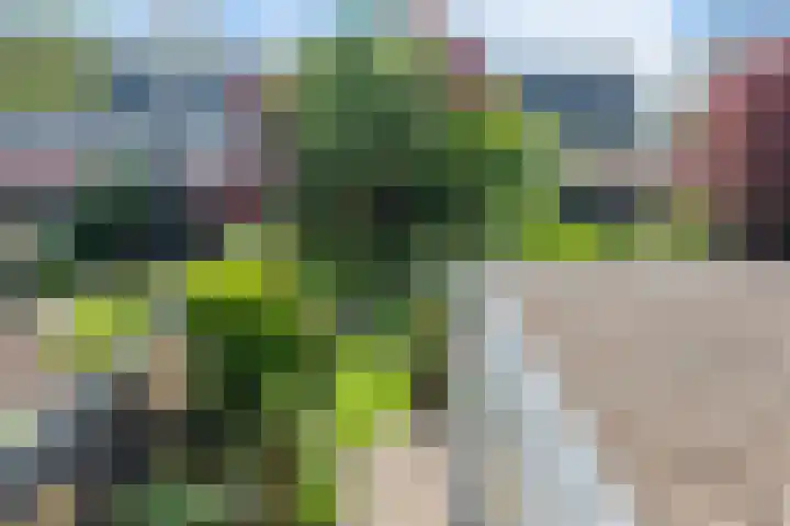 Zandweg 103 Wormer thumbnail 30