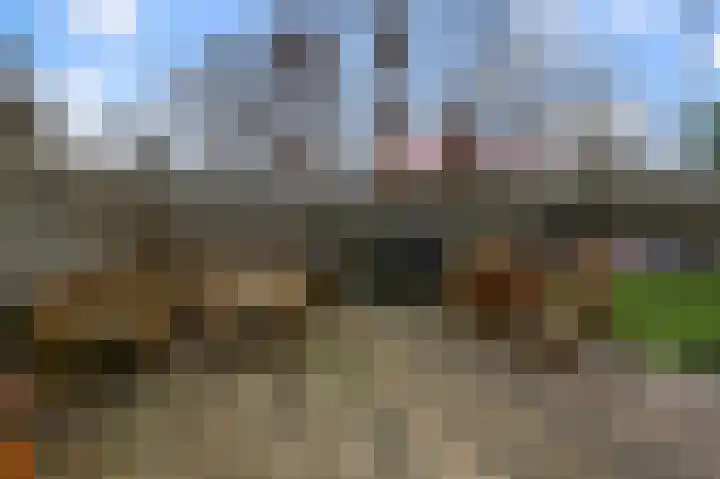 Zandweg 114 Wormer thumbnail 12