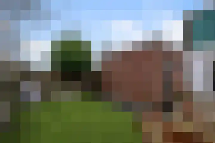 Zandweg 114 Wormer thumbnail 13
