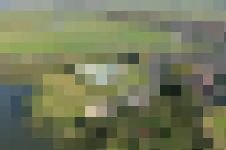 Zandweg 114 Wormer thumbnail 34