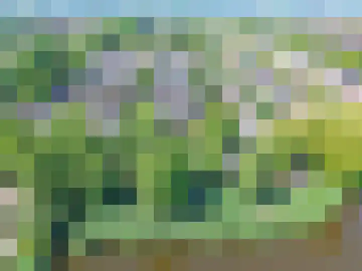 Zandweg 193 De Meern thumbnail 25