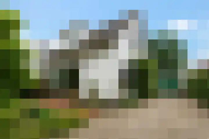 Zandweg 193 De Meern thumbnail 52