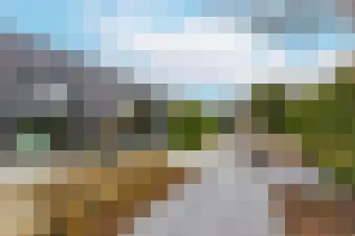Zandweg 211 De Meern thumbnail 22