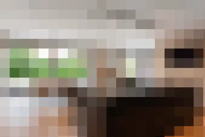 Zandweg 211 De Meern thumbnail 7