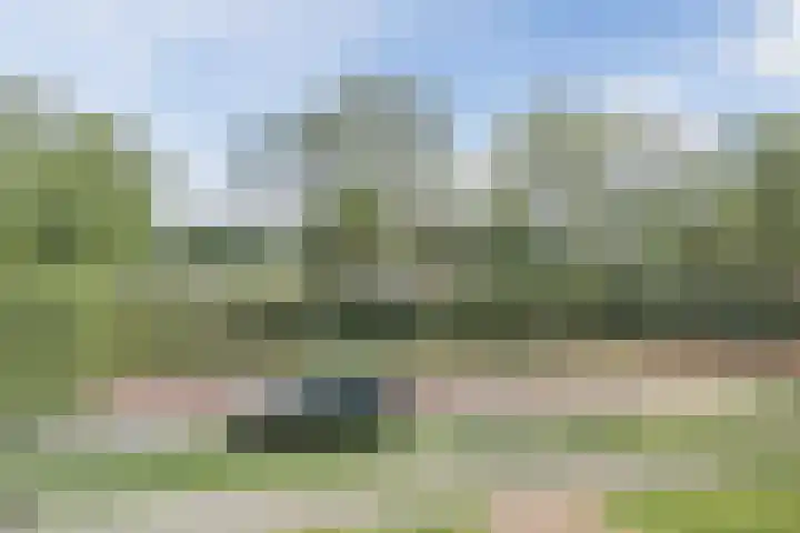 Zandweg 3 Utrecht thumbnail 28