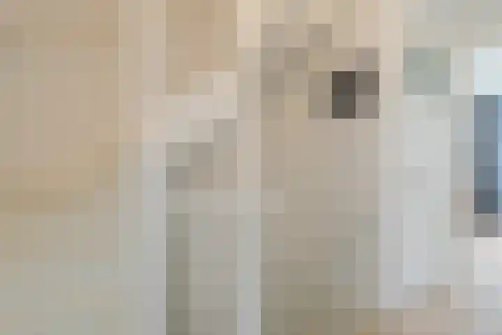 Zandweg 3 Utrecht thumbnail 40