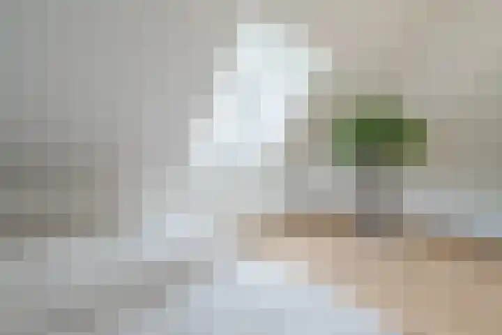 Zandweg 3 Utrecht thumbnail 46