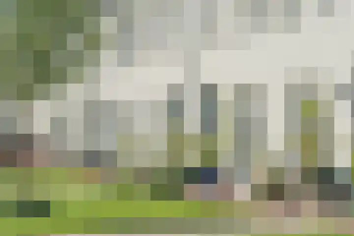 Zandweg 3 Utrecht thumbnail 5