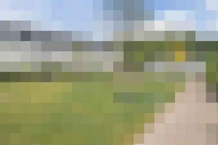 Zandweg 3 Utrecht thumbnail 56