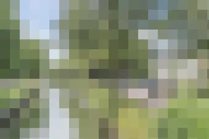 Zandweg 3 Utrecht thumbnail 63