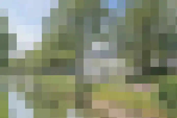 Zandweg 3 Utrecht thumbnail 64