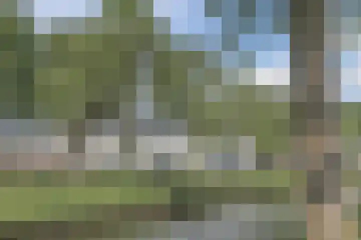 Zandweg 3 Utrecht thumbnail 65