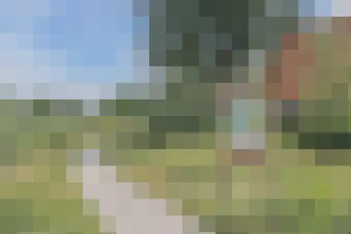 Zandweg 3 Utrecht thumbnail 68