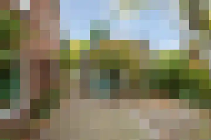 Zandweg 46 De Meern thumbnail 34
