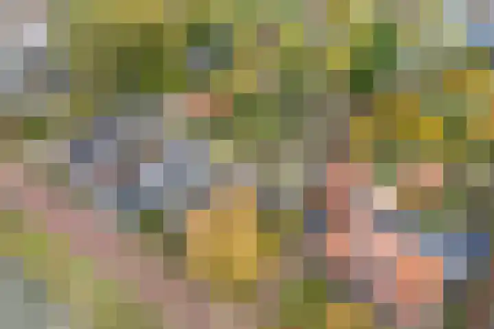 Zandweg 46 De Meern thumbnail 35