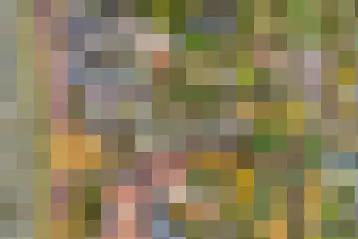 Zandweg 46 De Meern thumbnail 38