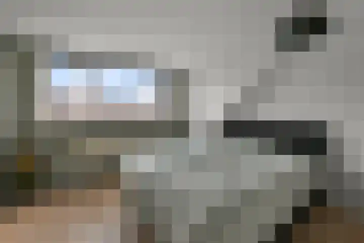 Zandweg 68 Wormer thumbnail 13