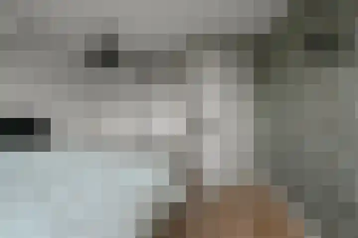 Zandweg 68 Wormer thumbnail 15