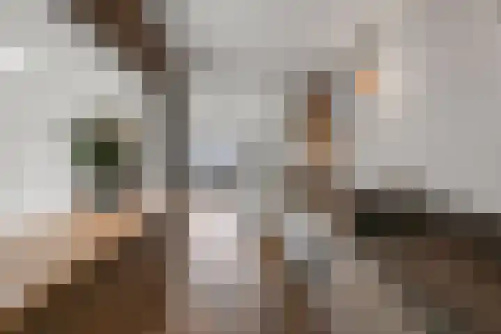 Zandweg 68 Wormer thumbnail 8