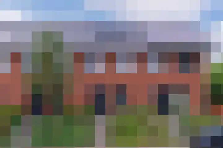 Zanglijster 101 in Rhenen