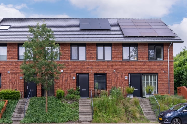 Zanglijster 101 in Rhenen foto