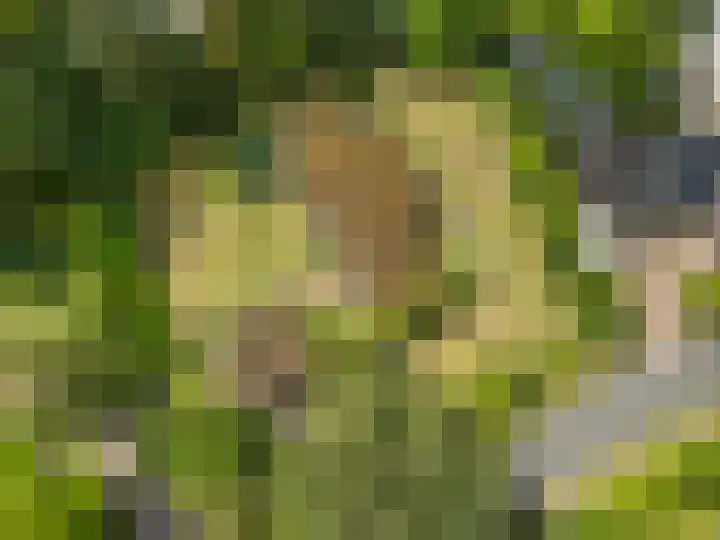 Zassenkamp 2 Bennekom thumbnail 14