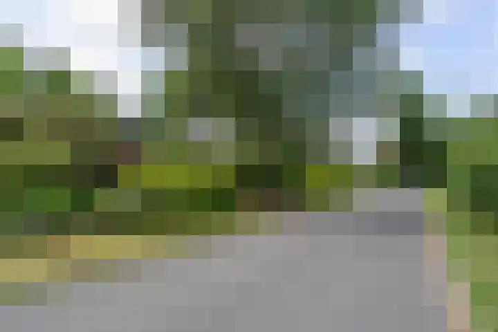 Zassenkamp 2 Bennekom thumbnail 15