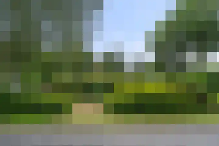 Zassenkamp 2 Bennekom thumbnail 18