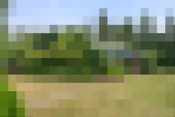 Zassenkamp 2 Bennekom thumbnail 20
