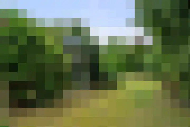 Zassenkamp 2 Bennekom thumbnail 23