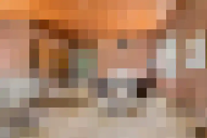 Zassenkamp 2 Bennekom thumbnail 34