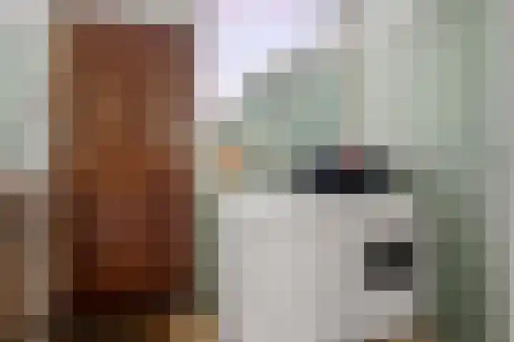 Zassenkamp 2 Bennekom thumbnail 37