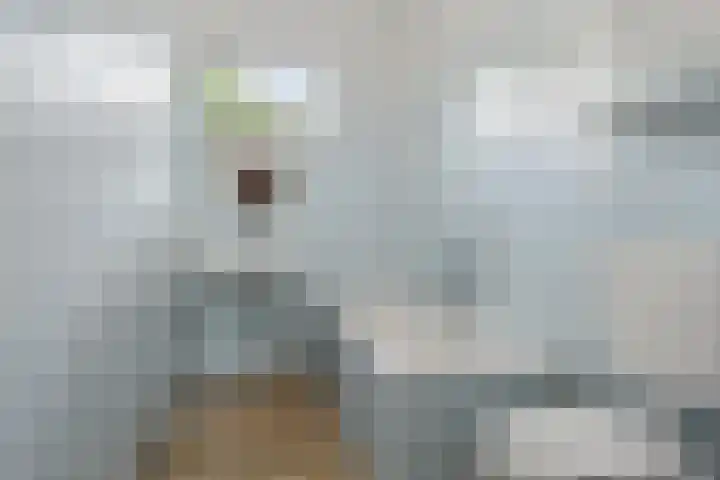 Zassenkamp 2 Bennekom thumbnail 39