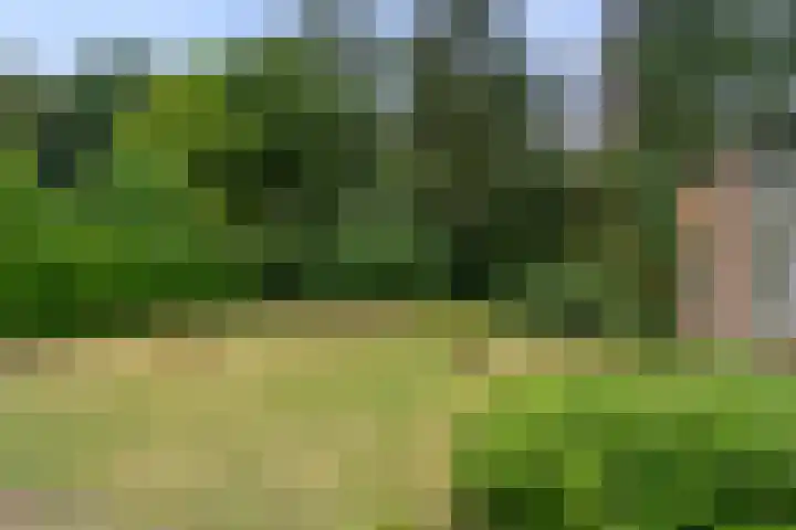 Zassenkamp 2 Bennekom thumbnail 4