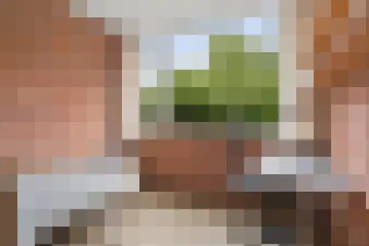 Zassenkamp 2 Bennekom thumbnail 43