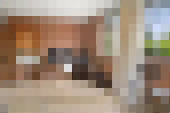 Zassenkamp 2 Bennekom thumbnail 44