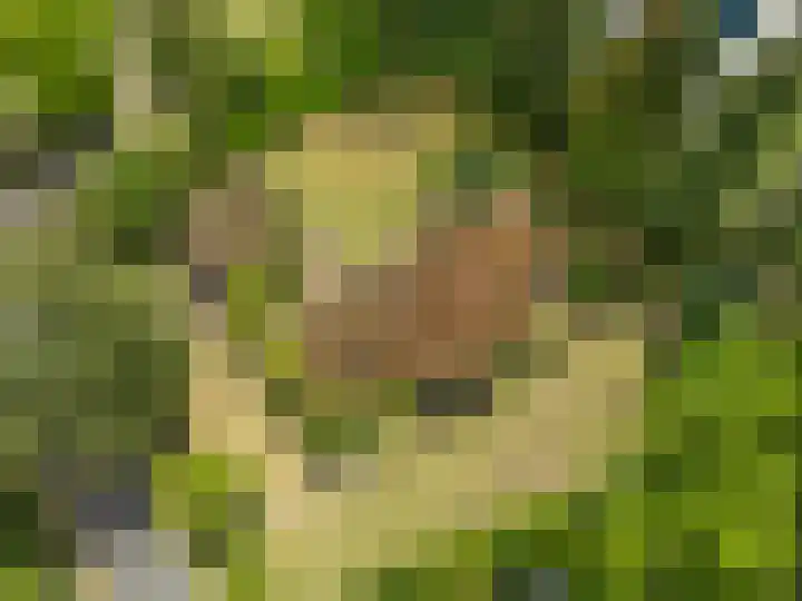 Zassenkamp 2 Bennekom thumbnail 7