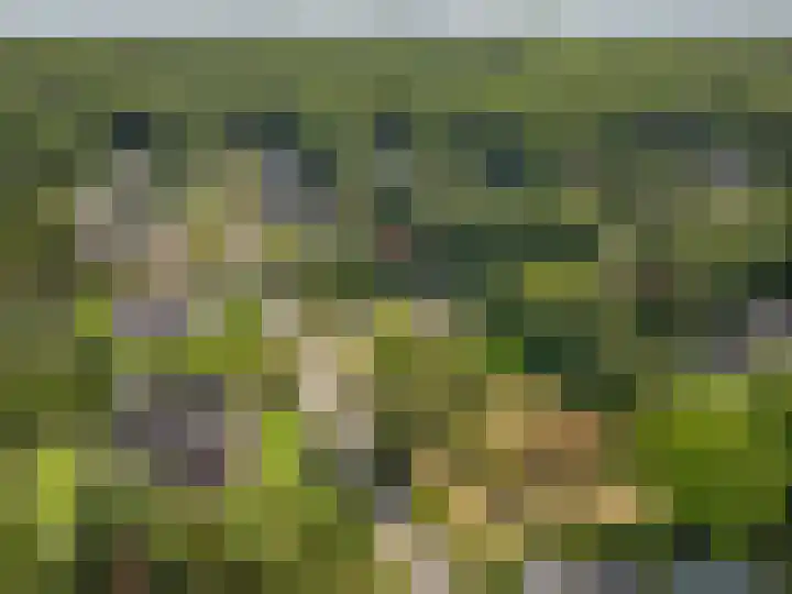 Zassenkamp 2 Bennekom thumbnail 8