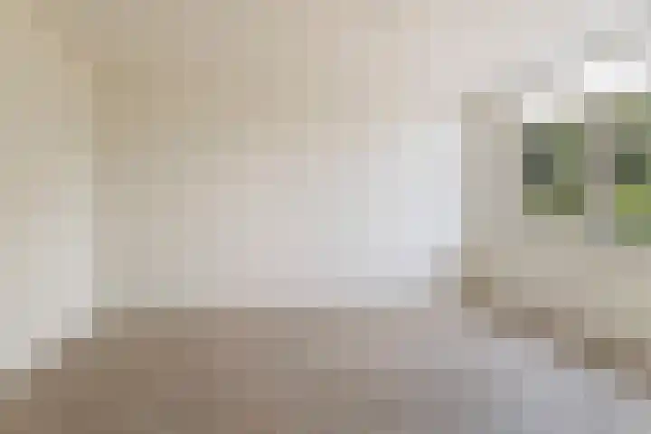 Zebraspoor 151 Maarssen thumbnail 13